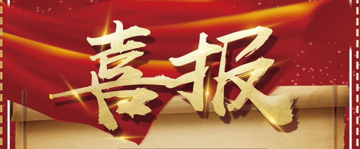 网站蜘蛛池程序下载
